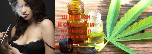 крисы Баксан