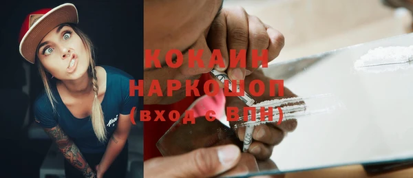 крисы Баксан