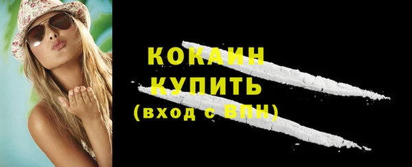 крисы Баксан