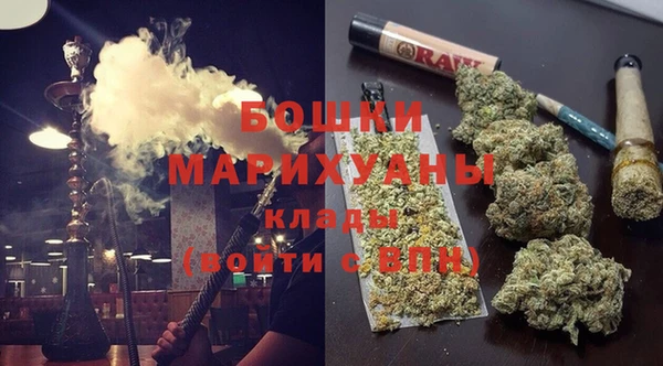 крисы Баксан