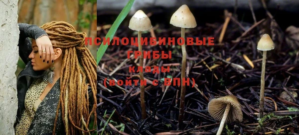 твердый Балахна