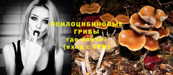 твердый Балахна