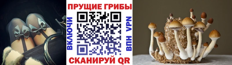Галлюциногенные грибы MAGIC MUSHROOMS Феодосия